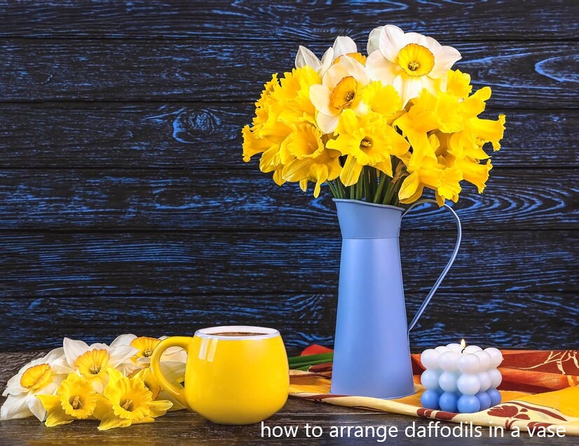 how to arrange daffodils in a vase