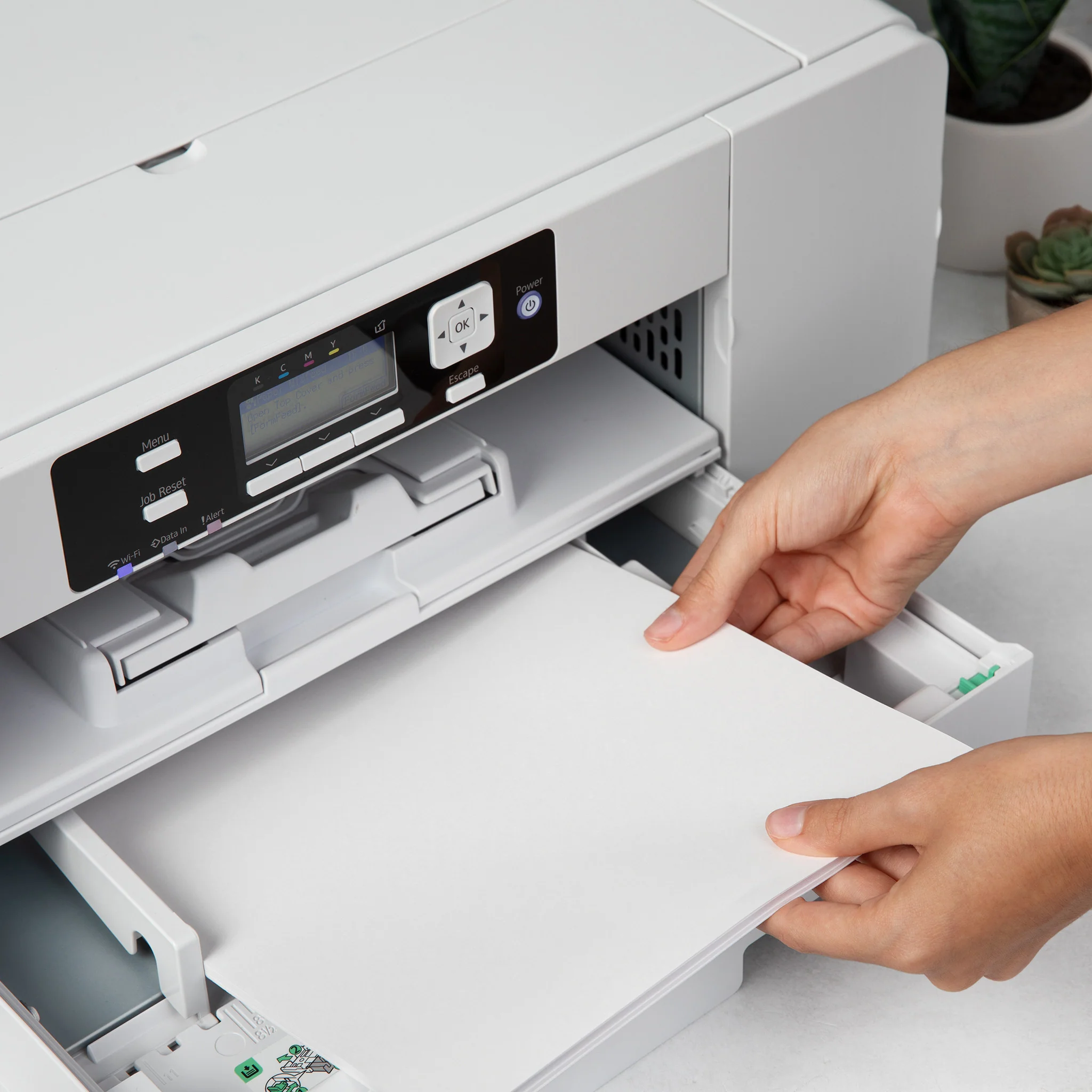 Sawgrass Printer Driver macOS Ultimate Guide to Easy Installation & Updates